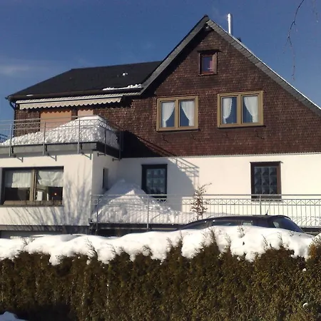 Detached House With Sauna 50m From Lifts *