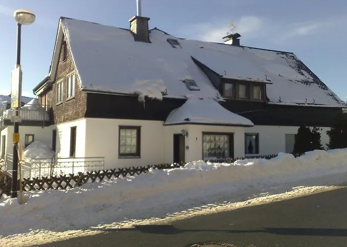 Detached House With Sauna 50m From Lifts Holiday home