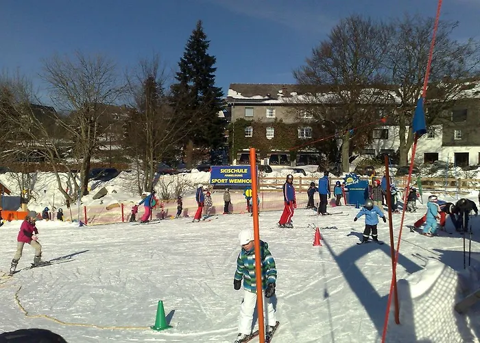 Detached House With Sauna 50m From Lifts Winterberg